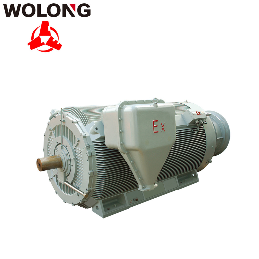 防爆電機(jī)品牌